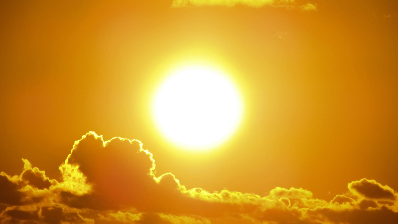 Waking With The Sun: The Benefits of Morning Sunlight Exposure