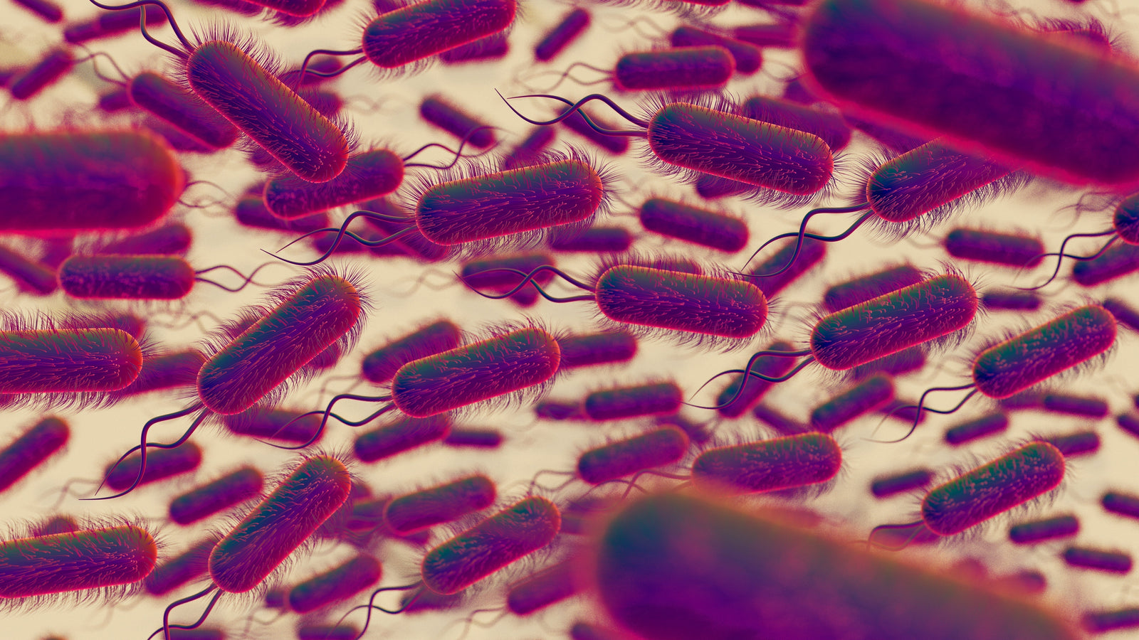 Could A Bacteria Be Behind Your Bloating? Unmasking H. Pylori